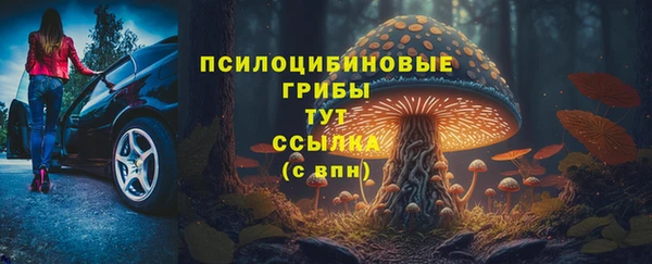 2c-b Баксан