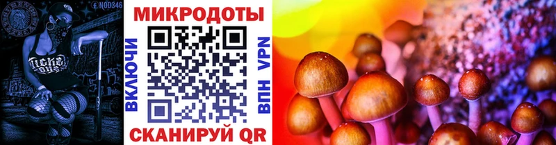 Галлюциногенные грибы GOLDEN TEACHER  купить наркотики цена  Фатеж 